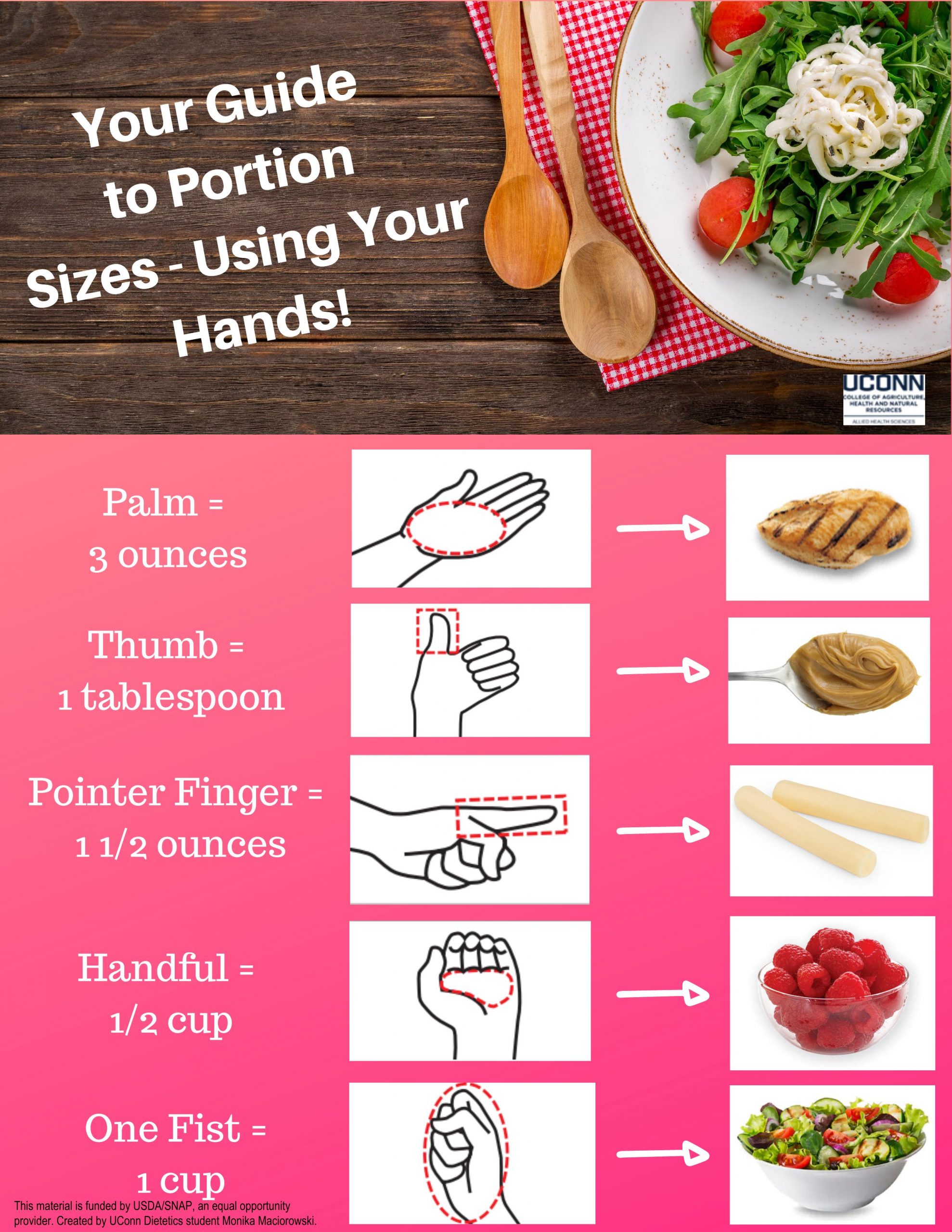 Guide to Portion Sizes Handout