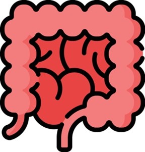 illustration of the gastrointestinal tract