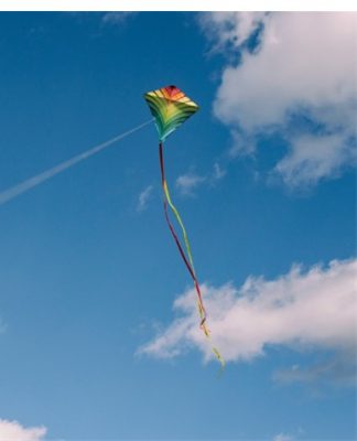 kite flying high in the sky