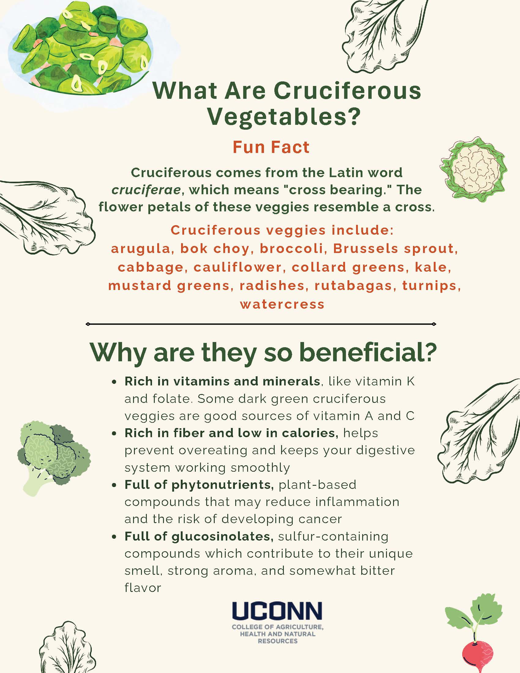 What Are Cruciferous Vegetables? flyer