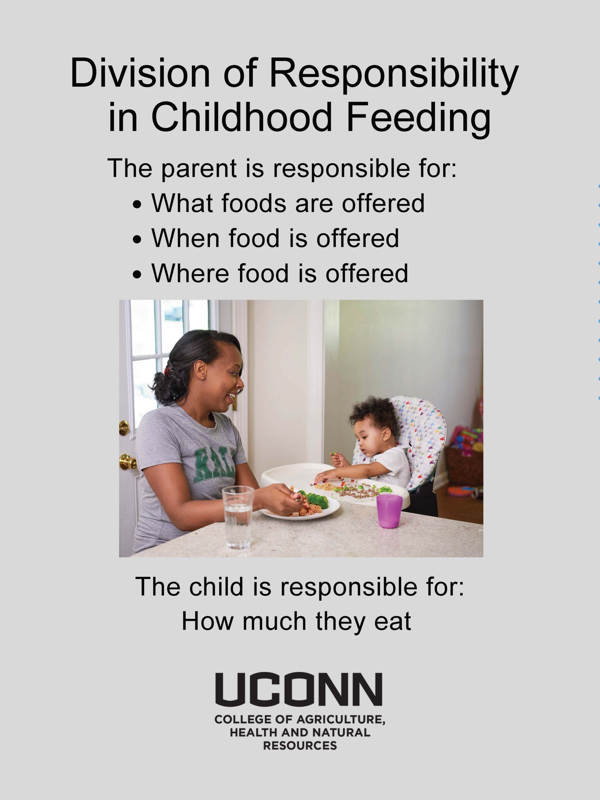 Division of Responsibility in Feeding Childhood Feeding flyer