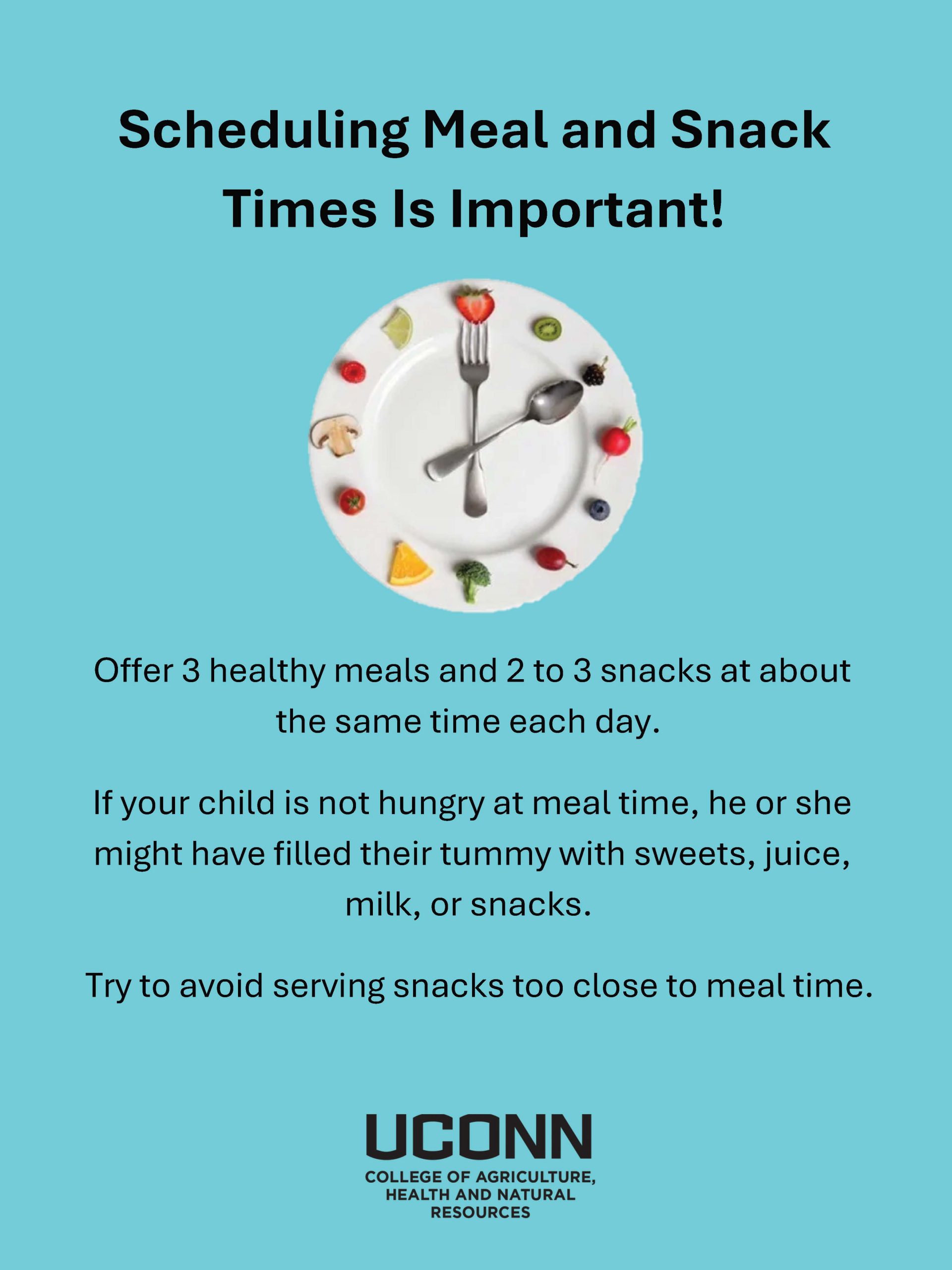 Scheduling Meal and Snack Times is Important! flyer