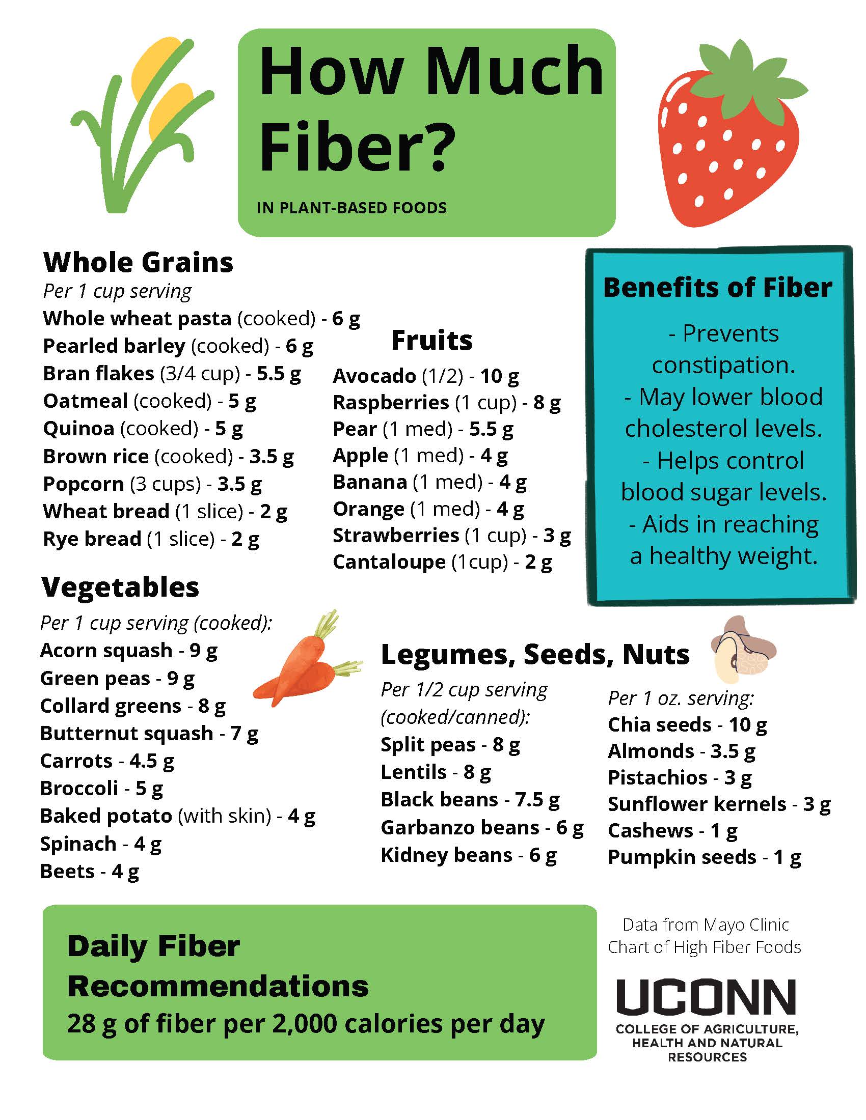 How Much Fiber in Plant-based Foods chart