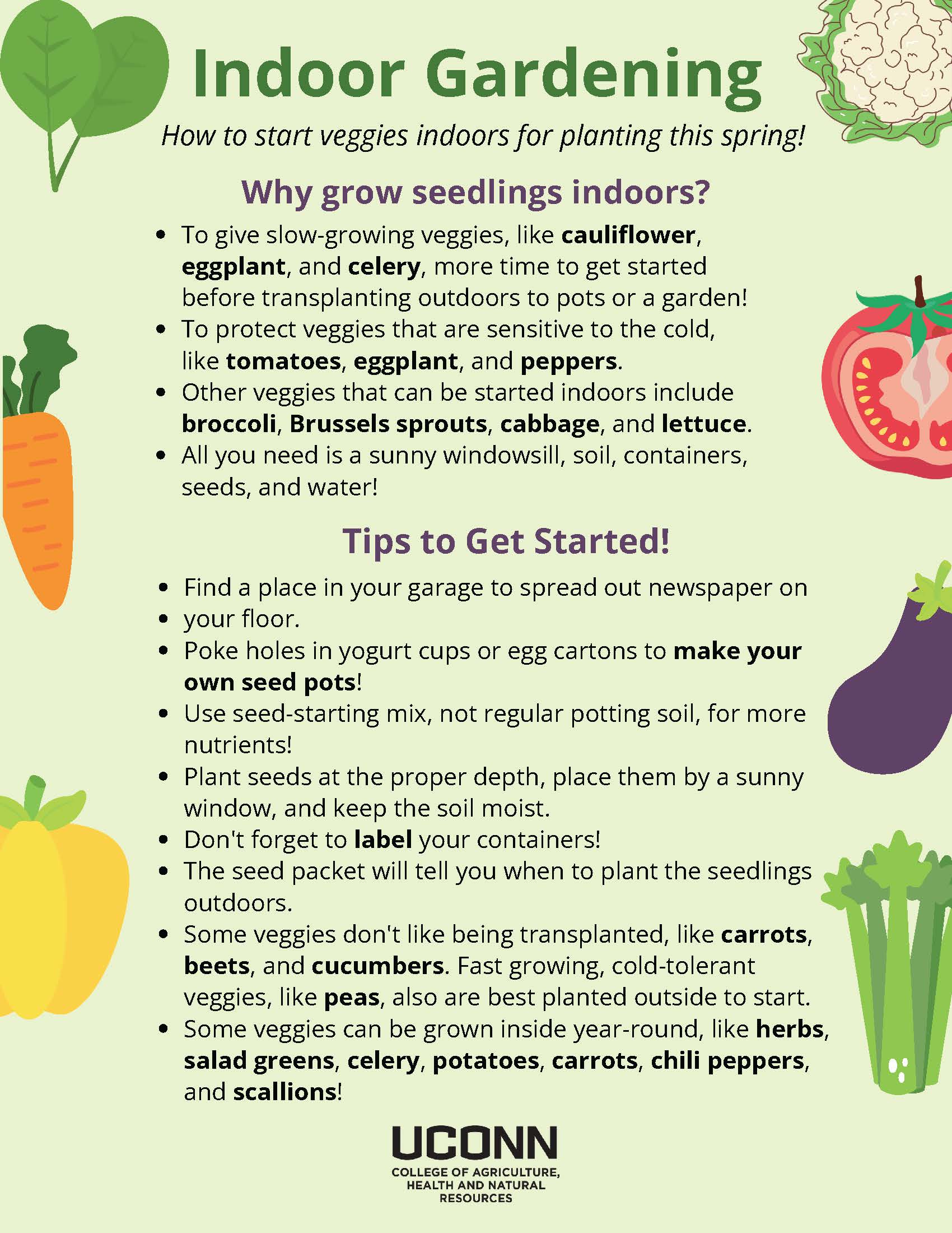 Indoor Gardening flyer, how to start veggies indoors for planting this spring 