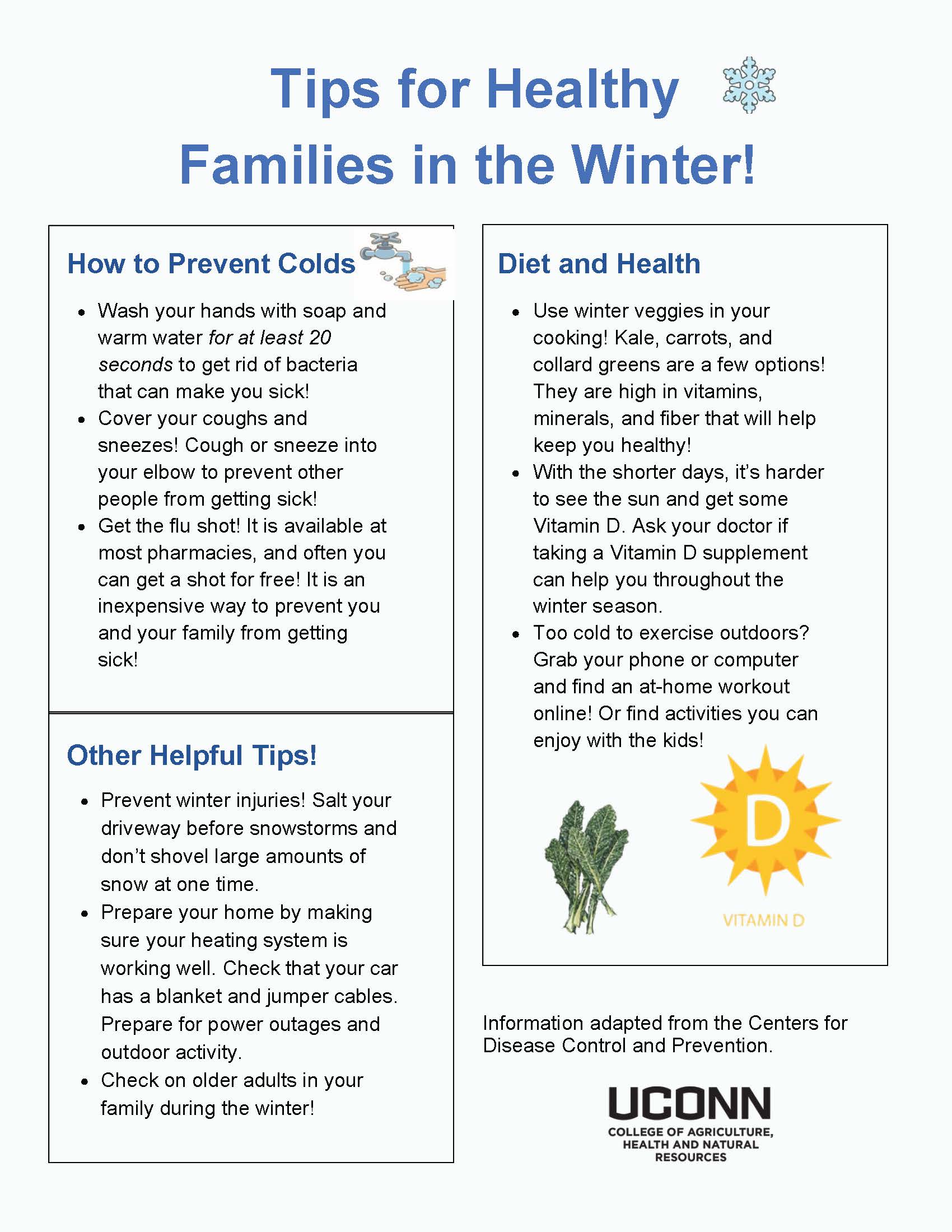 Healthy Families in teh Winterhandout