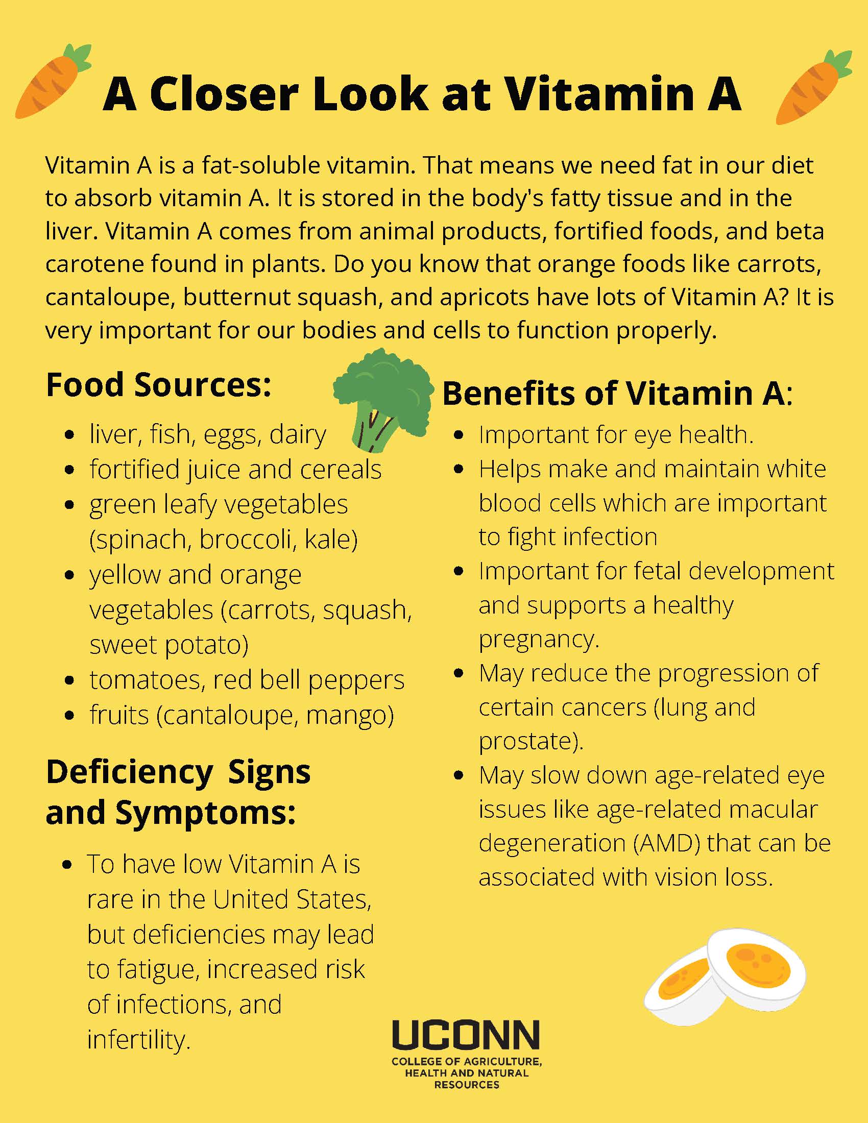 A Closer Look at Vitamin A flyer