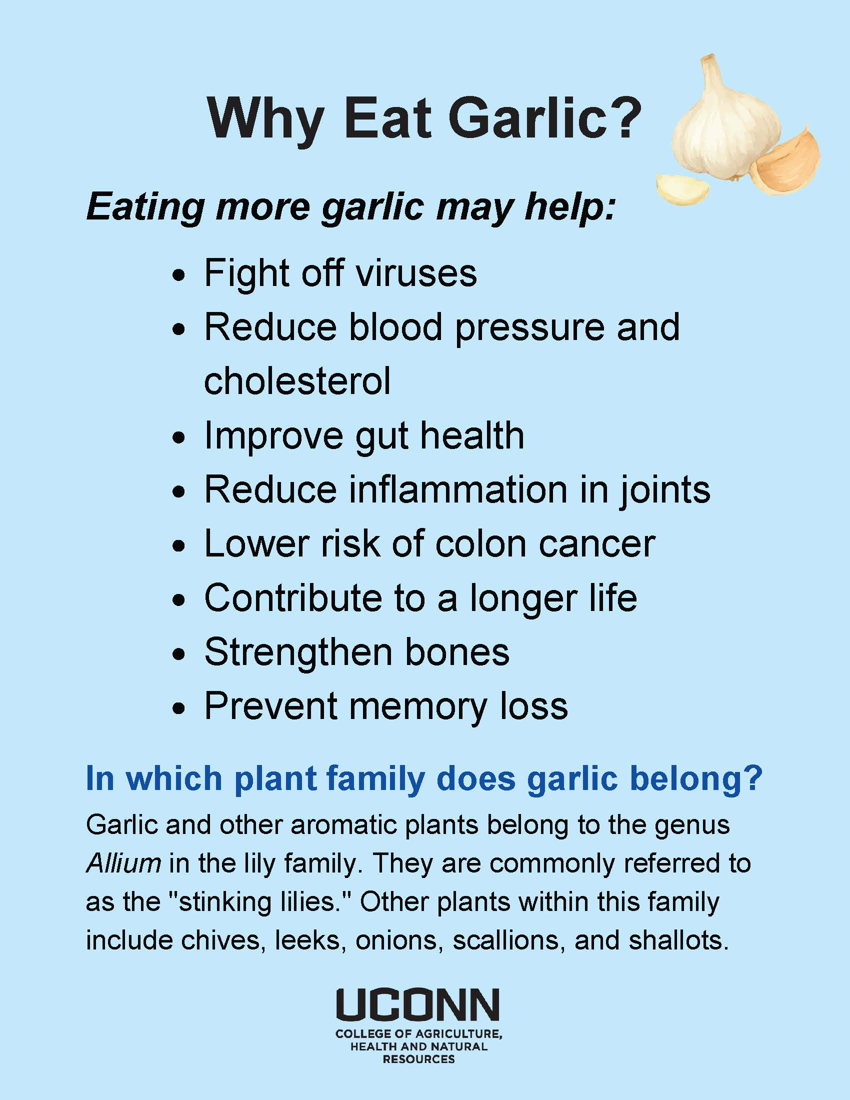 Why Eat Garlic? flyer