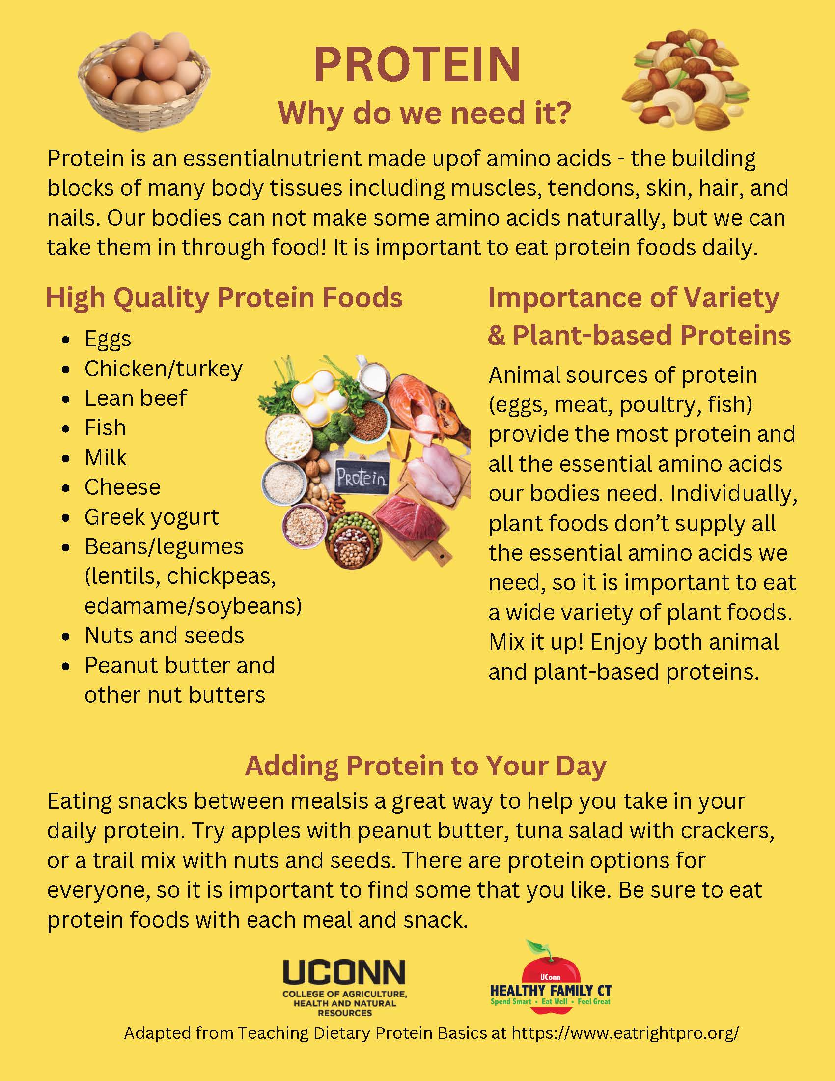 why we need protein and food sources handout